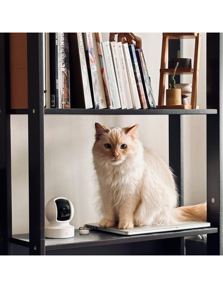 Cámara de Seguridad Kasa 2K QHD Pan/Tilt, Visión Nocturna