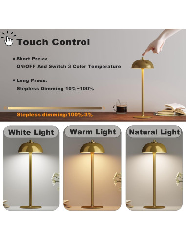 Lámpara de Mesa Inalámbrica JONEMO Oro Cepillado 5000mAh