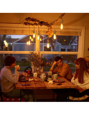 Portalámparas Regulable DiCUNO E26 Vintage Dorado 150W