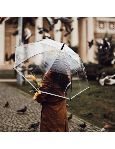 G4Free Paraguas de Golf Transparente 157 cm Automático