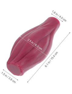 Réplica de Cuerpo Humano Muscular BESPORTBLE 1lb Silicona 2