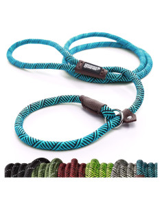 Correa de Perro de Cuerda Amigos Para Siempre 1.83m Azul