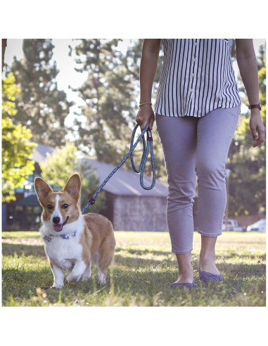 Correa de Perro de Cuerda Amigos Para Siempre 1.83m Azul