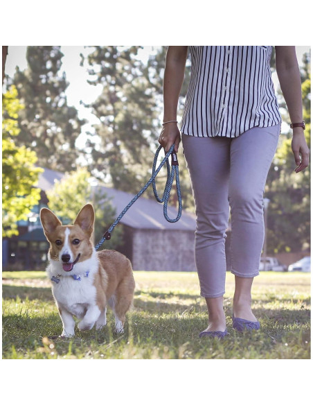 Correa de Perro de Cuerda Amigos Para Siempre 1.83m Azul Correa de Perro de Cuerda Amigos Para Siempre 1.83m Azul