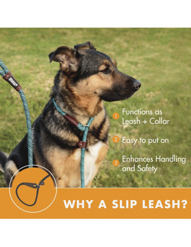 Correa de Perro de Cuerda Amigos Para Siempre 1.83m Azul