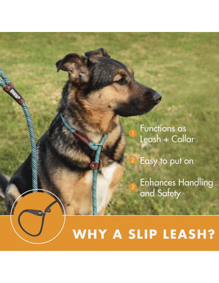 Correa de Perro de Cuerda Amigos Para Siempre 1.83m Azul Correa de Perro de Cuerda Amigos Para Siempre 1.83m Azul