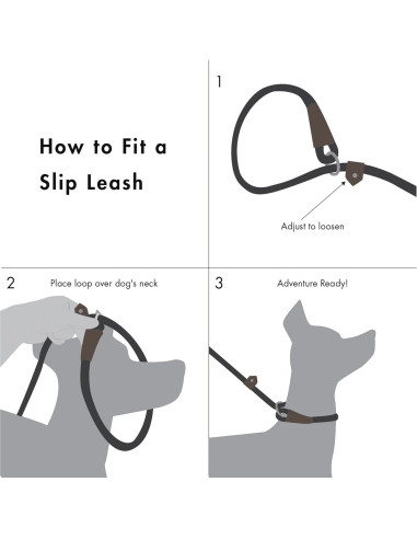 Correa de Perro de Cuerda Amigos Para Siempre 1.83m Azul