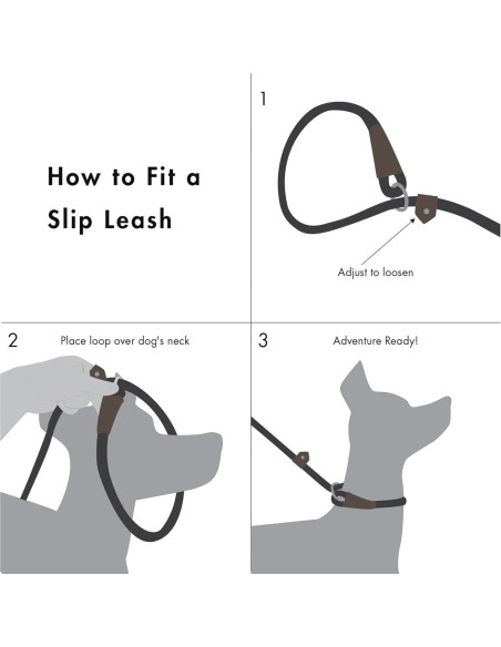 Correa de Perro de Cuerda Amigos Para Siempre 1.83m Azul Correa de Perro de Cuerda Amigos Para Siempre 1.83m Azul