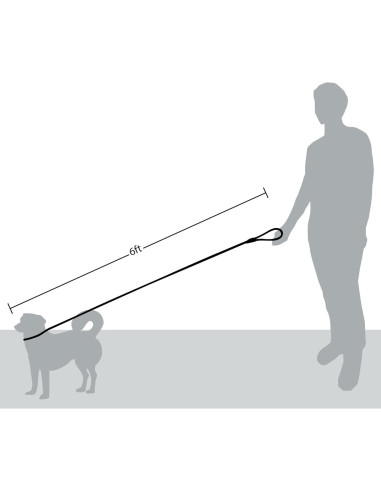 Correa de Perro de Cuerda Amigos Para Siempre 1.83m Azul