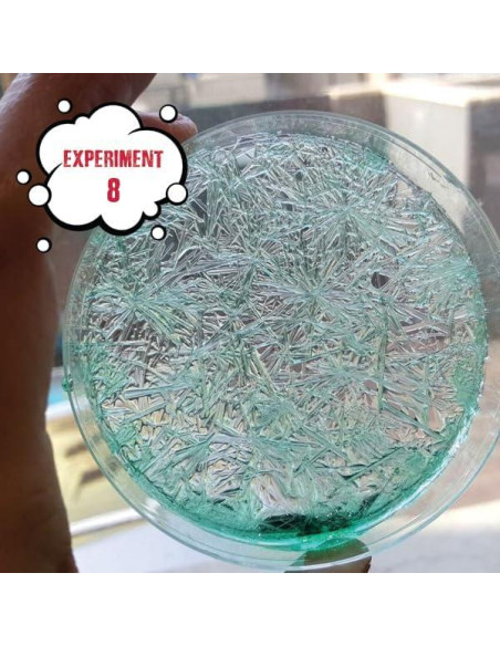 Kit de Ciencia Locura de Cristales The Purple Cow - 18 Experimentos