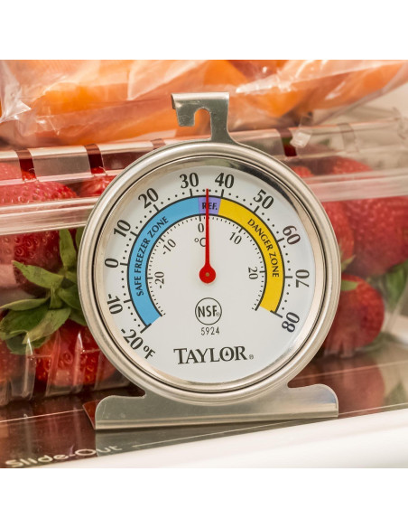 Termómetro de Dial Grande Taylor Precision -20 a 600C