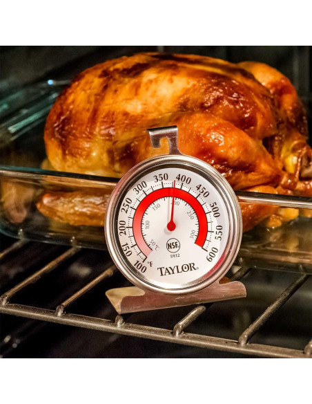 Termómetro de Dial Grande Taylor Precision -20 a 600C