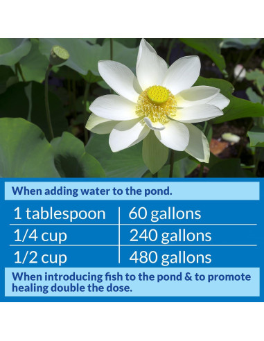 API POND STRESS COAT Acondicionador de Agua 946 ml para Estanques