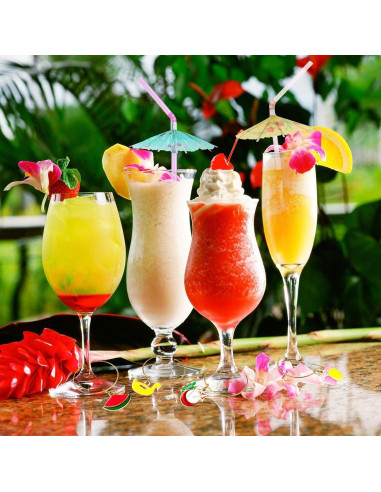 17 Piezas Encantos para Copas de Vino Verano Playa