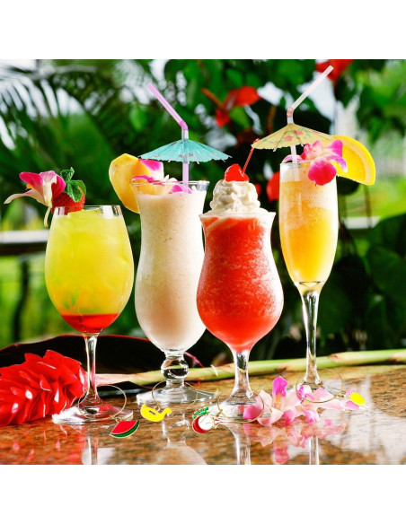 17 Piezas Encantos para Copas de Vino Verano Playa 17 Piezas Encantos para Copas de Vino Verano Playa
