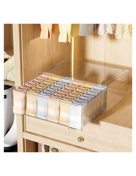 Organizador de Ropa Interior HOYOJA 24 Celdas Transparente Organizador de Ropa Interior HOYOJA 24 Celdas Transparente