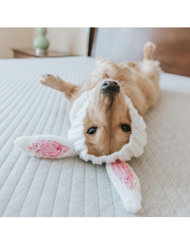 Disfraz de Conejo para Perro Zoo Snoods - Pequeño, Blanco