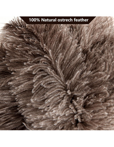 Plumero de Plumas de Avestruz NEWONG 2pcs 35.56 cm