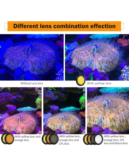 Kit de Lentes Coral Reef LabEdit 5 Lentes + Funda Kit de Lentes Coral Reef LabEdit 5 Lentes + Funda