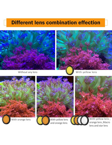 Kit de Lentes Coral Reef LabEdit 5 Lentes + Funda