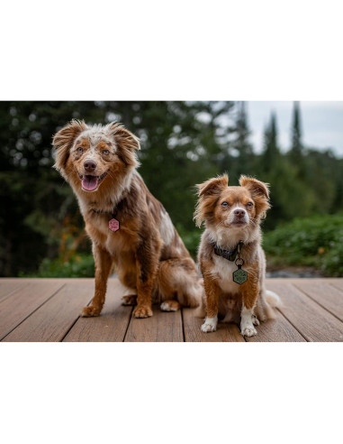 Etiqueta de Identificación Silicona Besties Pets QR Personalizada