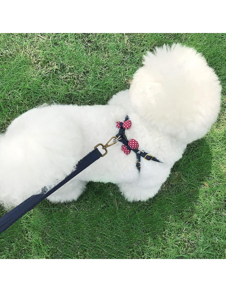 12 Ganchos Giratorios D Anillo Oubaka 48mm Bronce Antiguo
