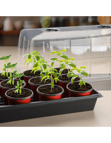Bandeja de Plantas 1020 RooTrimmer con Domo Alto 18.54 cm - 5 Piezas Bandeja de Plantas 1020 RooTrimmer con Domo Alto 18.54 cm - 5 Piezas