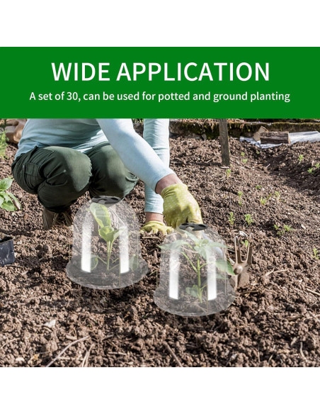 30 Piezas Cubierta Protectora de Plantas Saihisday 19.5 cm