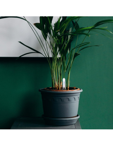 Medidor de Nivel de Agua DOITOOL - 2 Pcs para Macetas