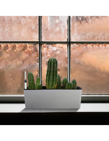 Indicadores de Nivel de Agua TUESMEILL 4 Piezas para Plantas