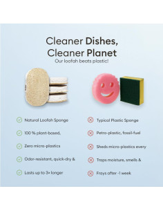 Esponjas de Fregar Vove 4 Pack Ecológicas de Celulosa y Lufa 2