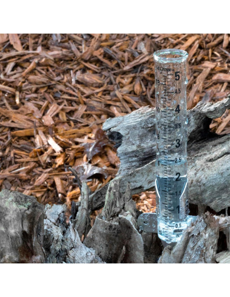 Medidor de Lluvia de Vidrio La Crosse 704-1514 12.7 cm