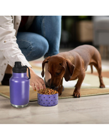Botella de Agua Portátil para Perros AGH 946ml con Tazón Morado