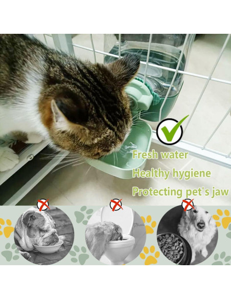 Dispensador de Agua Automático Gonpabuly 1L para Mascotas