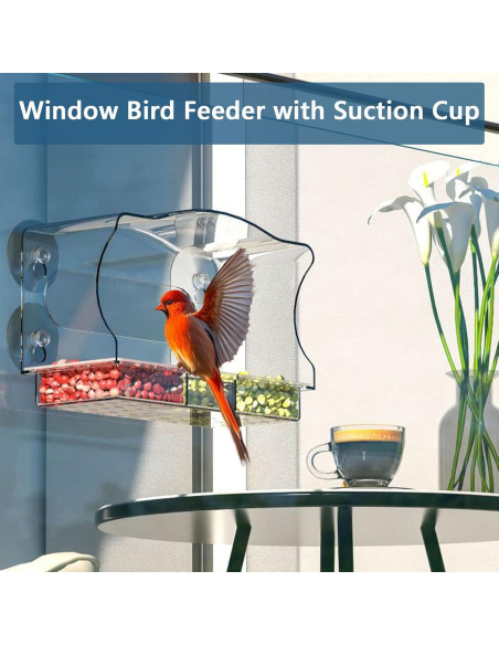 Alimentador de Aves para Ventana SIGOWING Acrílico 25.4x15.24 cm