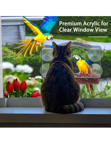 Alimentador de Aves para Ventana SIGOWING Acrílico 25.4x15.24 cm