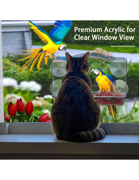 Alimentador de Aves para Ventana SIGOWING Acrílico 25.4x15.24 cm