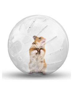 Bola de Ejercicio para Hámsters WNZQK 12.5cm Cristalina