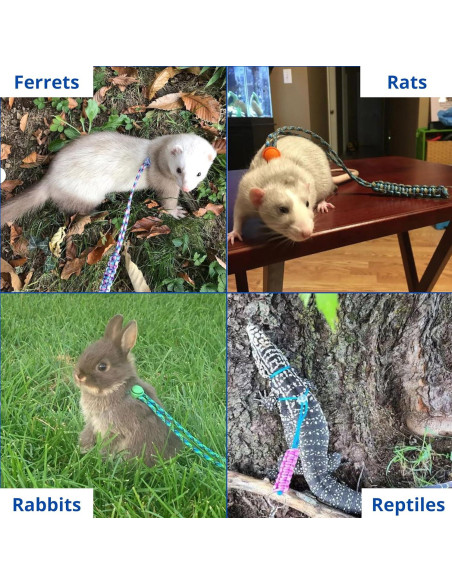 Arnés y Correa Ajustable para Hurones Homedy Azul Mini