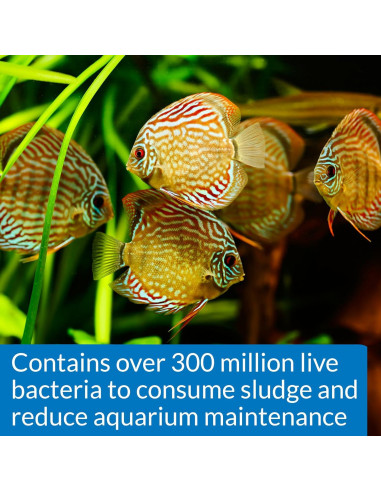 API STRESS ZYME 473 ml - Solución de Limpieza para Acuarios