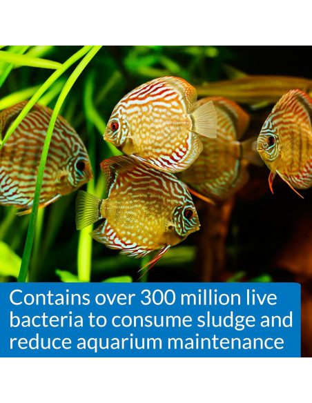 API STRESS ZYME 473 ml - Solución de Limpieza para Acuarios