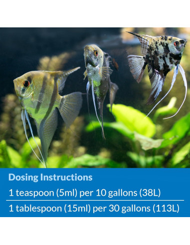 API STRESS ZYME 473 ml - Solución de Limpieza para Acuarios