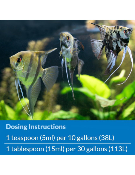 API STRESS ZYME 473 ml - Solución de Limpieza para Acuarios