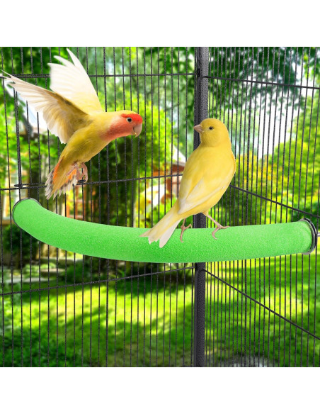 Soporte de Percha en U FrgKbTm para Loro Verde Mediana