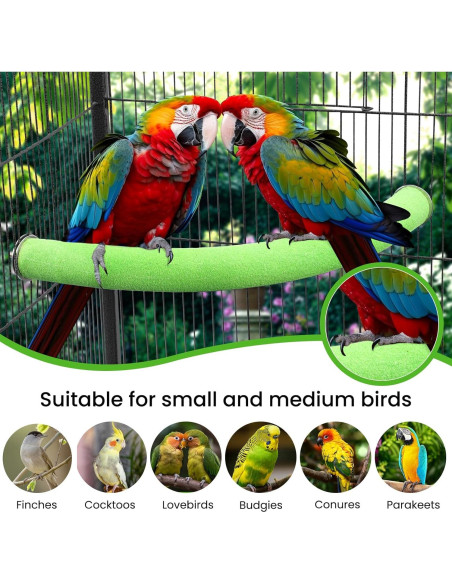 Soporte de Percha en U FrgKbTm para Loro Verde Mediana