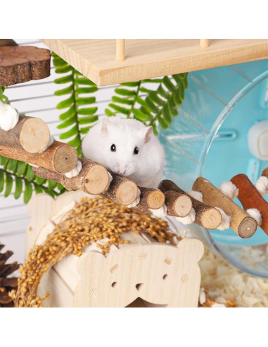 Accesorios para Jaula de Aves Leopacat - Hamaca y Perchas