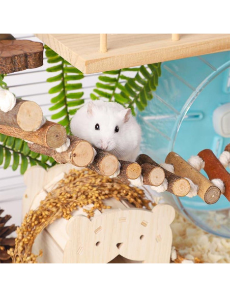 Accesorios para Jaula de Aves Leopacat - Hamaca y Perchas