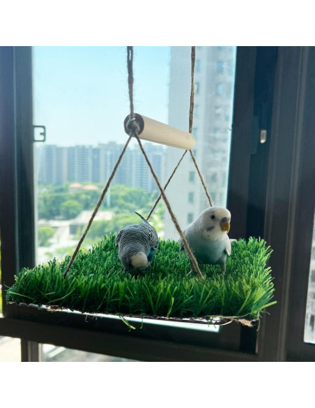 Colchoneta de Columpio para Aves FlidRunest 23x45cm