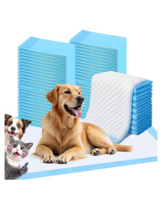 Almohadilla de Entrenamiento FluffyDream 60x60 cm 40 Piezas