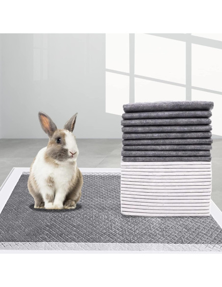 Almohadillas para Orina de Mascotas PINVNBY 100 Piezas 45x33 cm